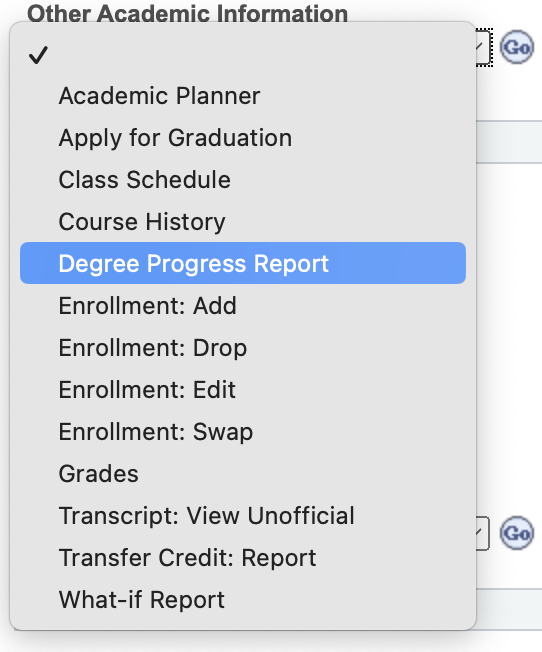 Other Academic Information dropdown selecting Degree Progress Report