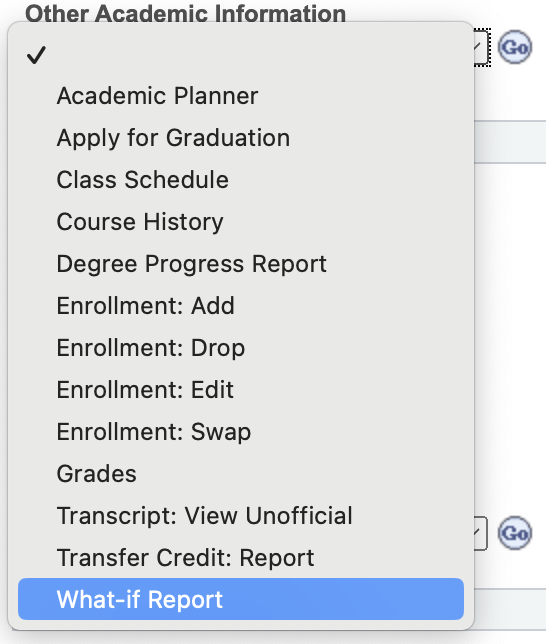 Other Academic Information dropdown menu selecting What-If Report