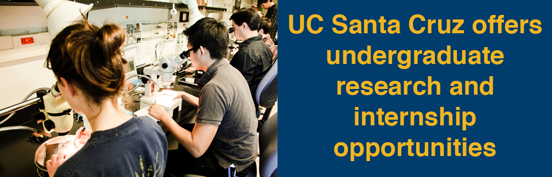 Students conducting scientific research. Tagline says, "uc santa cruz offers undergraduate research and internship opportunities".